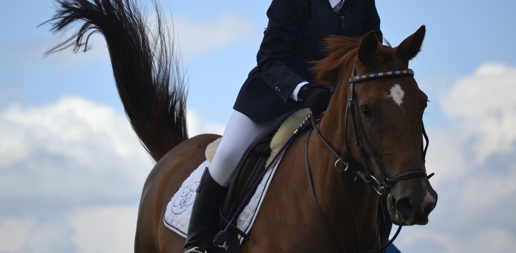 La Trentina Aurora Tomasini è argento nel Master Rider - Promesse del Pony  Master Show di Arezzo - Sport Magazine Trentino