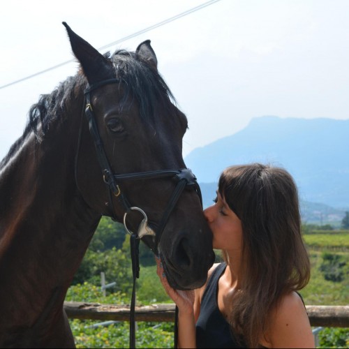 Maddalena Vettori, Autore presso Sport Magazine Trentino